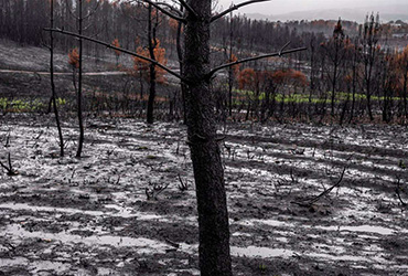 El Barómetro del CIS sitúa al medio ambiente entre los problemas que más preocupan a los españoles